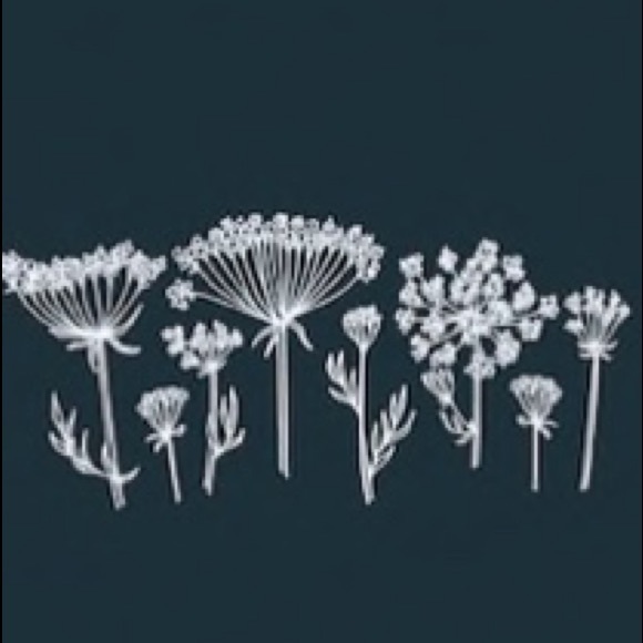 Meet your Posher, Jodie - Picture 1 of 1